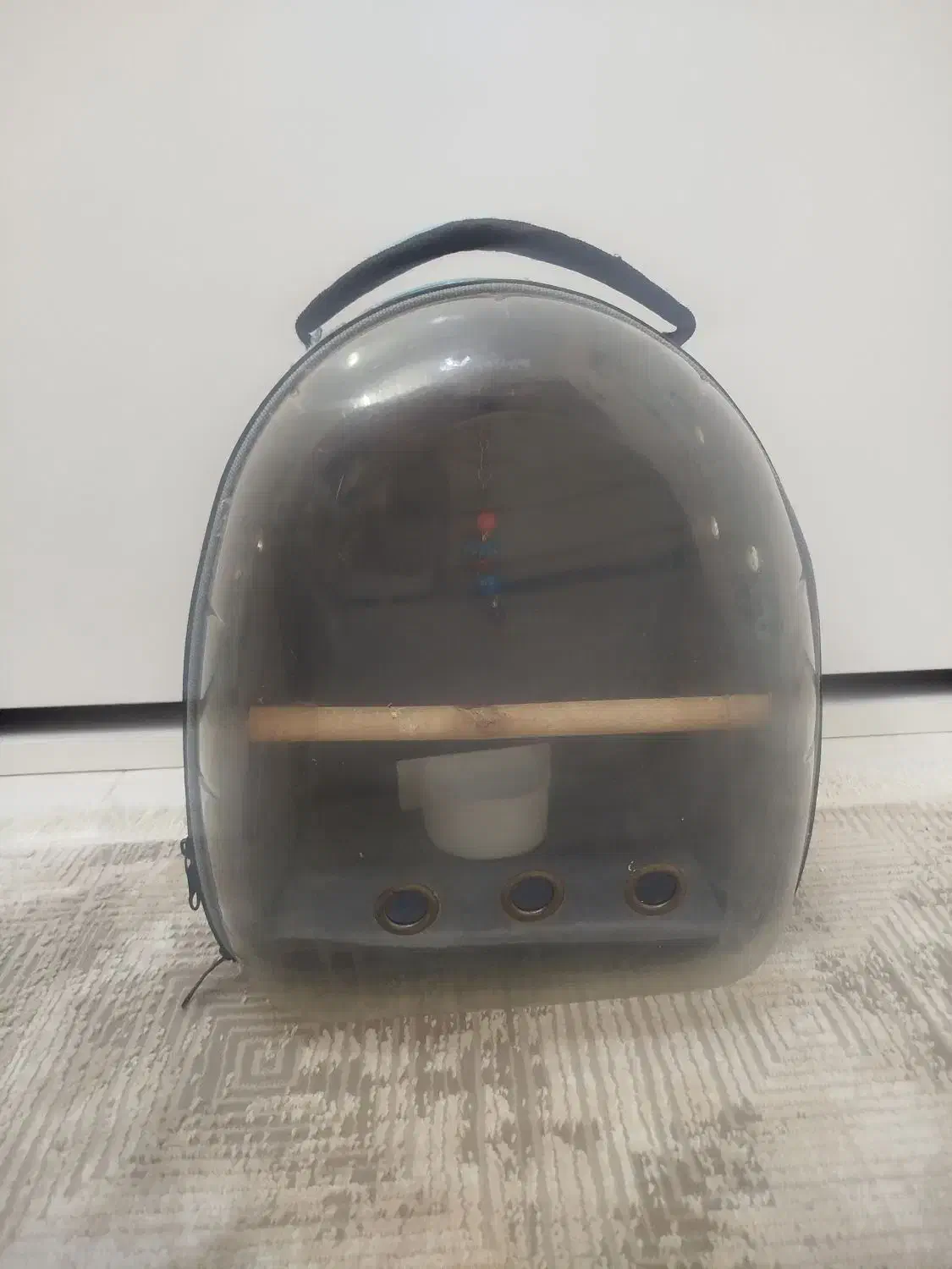 کوله حمل پرنده|لوازم جانبی حیوانات|ری, علایین|دیوار