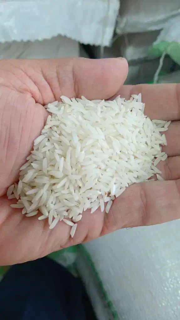 برنج هاشمی درجه ۱|خوردنی و آشامیدنی|رشت, رشتیان|دیوار