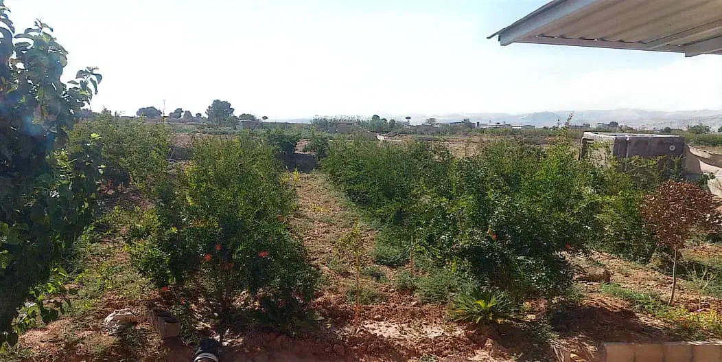 باغ|فروش دفتر صنعتی، کشاورزی، تجاری|سمنان, |دیوار