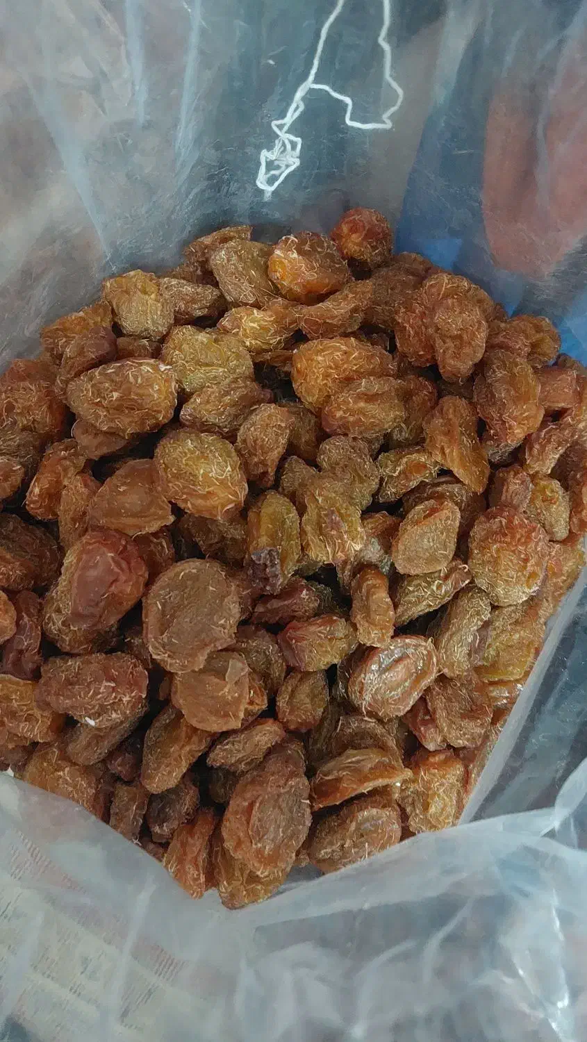 الوبخارا بوانات|خوردنی و آشامیدنی|شیراز, مسلم|دیوار