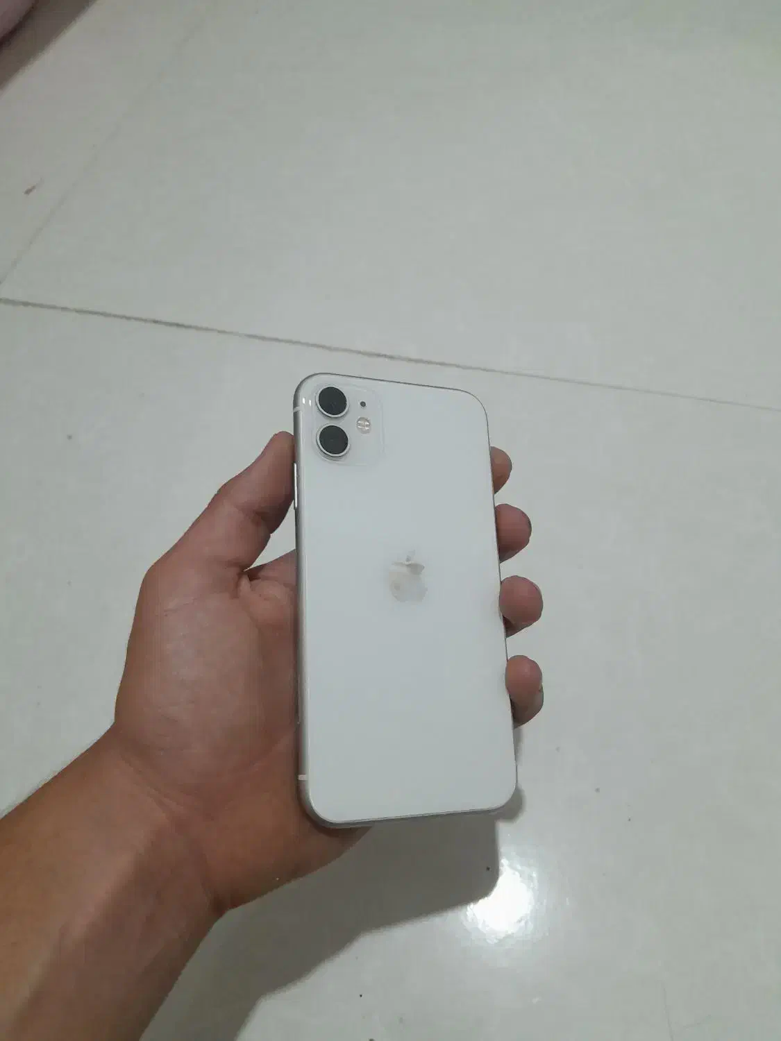اپل iPhone 11 با حافظهٔ ۶۴ گیگابایت|موبایل|بجنورد, |دیوار