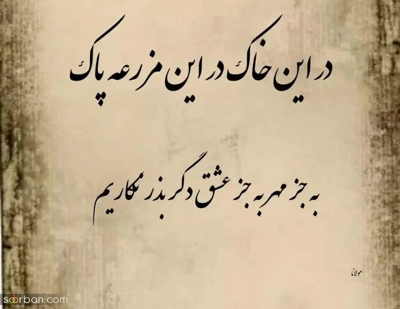 راهنمایی|فعالیت داوطلبانه|قم, بنیاد|دیوار