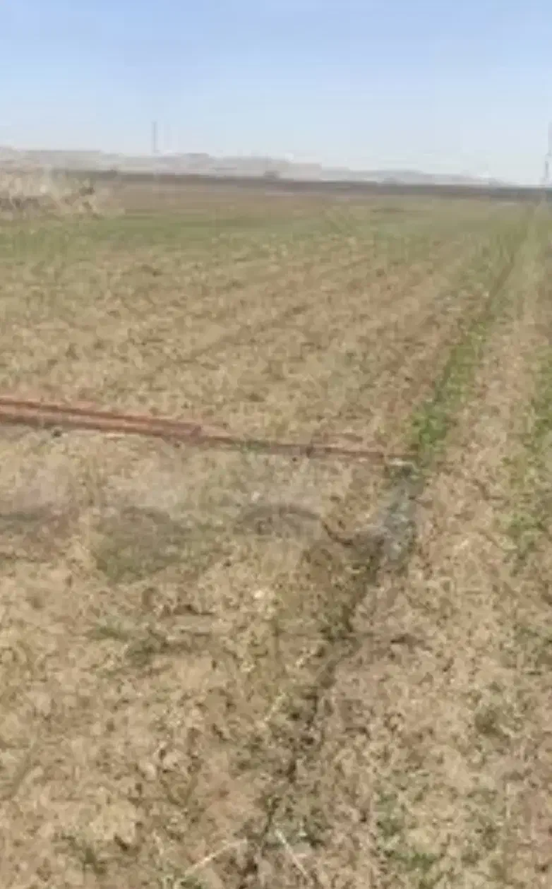 فروش. زمین کشاورزی با دو چاه برقی سرحد دشت نمدان|فروش دفتر صنعتی، کشاورزی، تجاری|اقلید, |دیوار