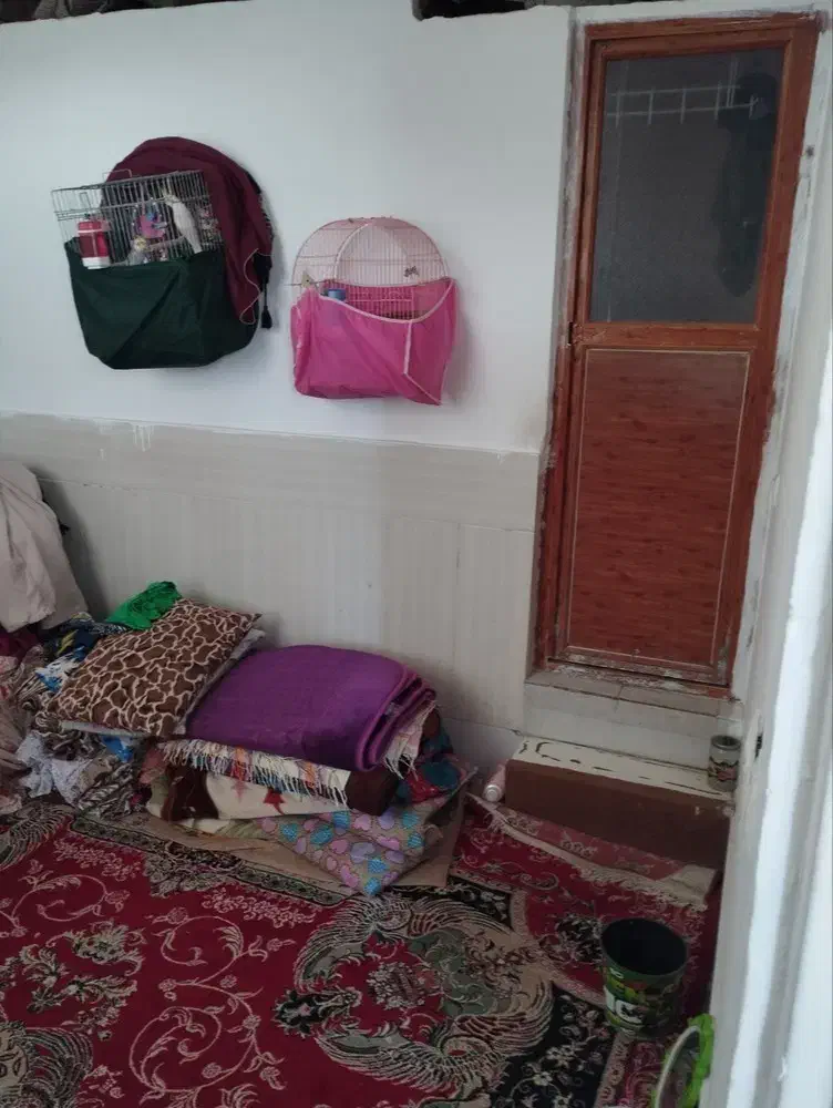 خونه اجاره‌ای|اجارهٔ خانه و ویلا|تاکستان, |دیوار