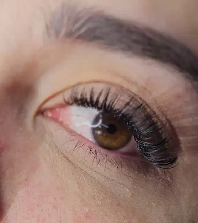 اکستنشن مژه،لیفت و لمینت مژه و ابرو|خدمات آرایشگری و زیبایی|صدرا-فارس, فاز ۱|دیوار