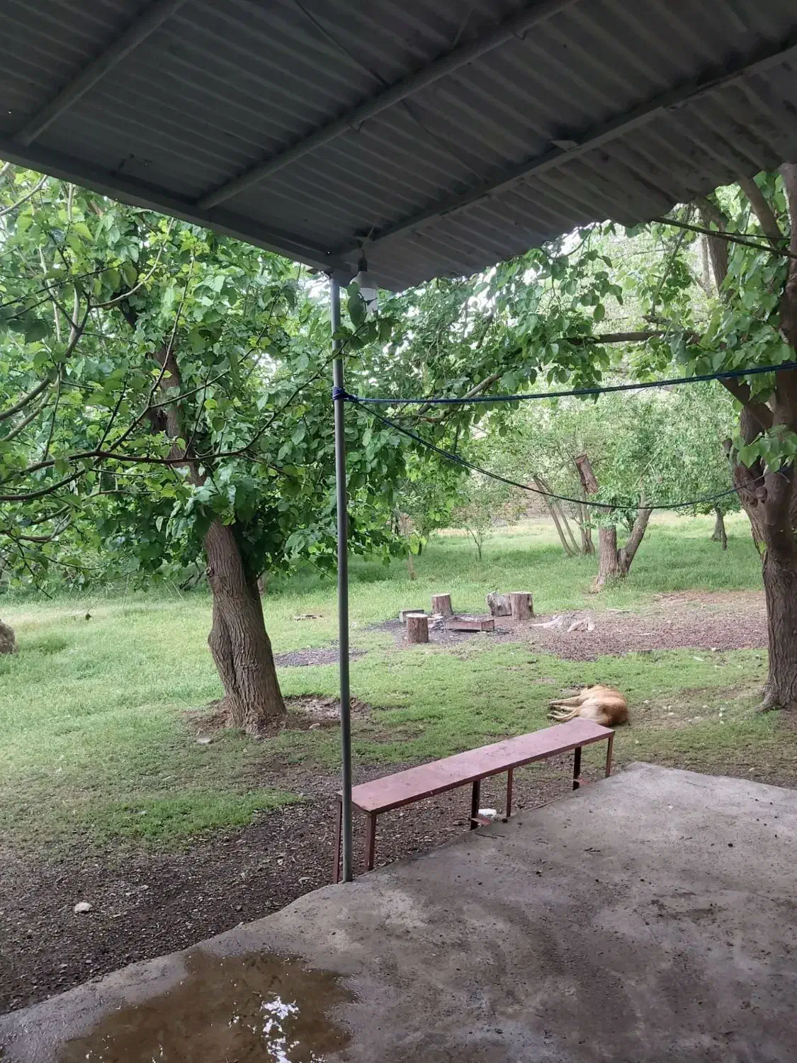 خانه باغ|اجارهٔ کوتاه‌مدت ویلا و باغ|بیستون, |دیوار