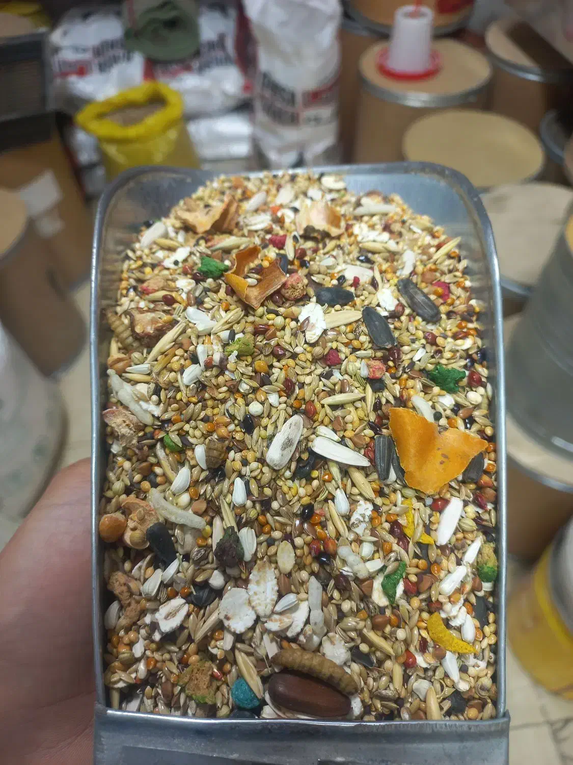 انواع دان ۷تخم کبک کبوتر پرنده و ملزومات|لوازم جانبی حیوانات|سنندج, |دیوار