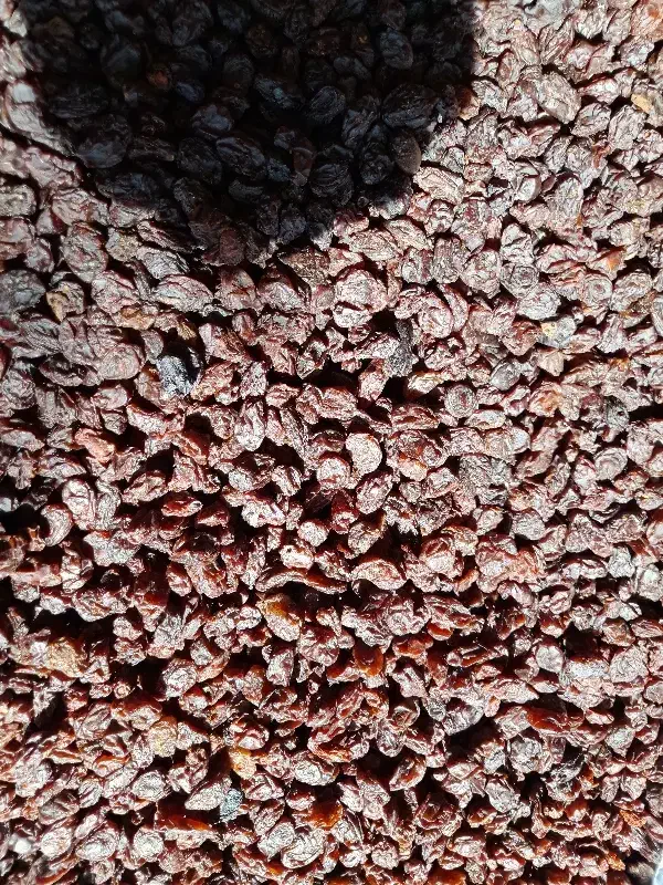 کشمش و شیره انگور|خوردنی و آشامیدنی|بروجرد, |دیوار