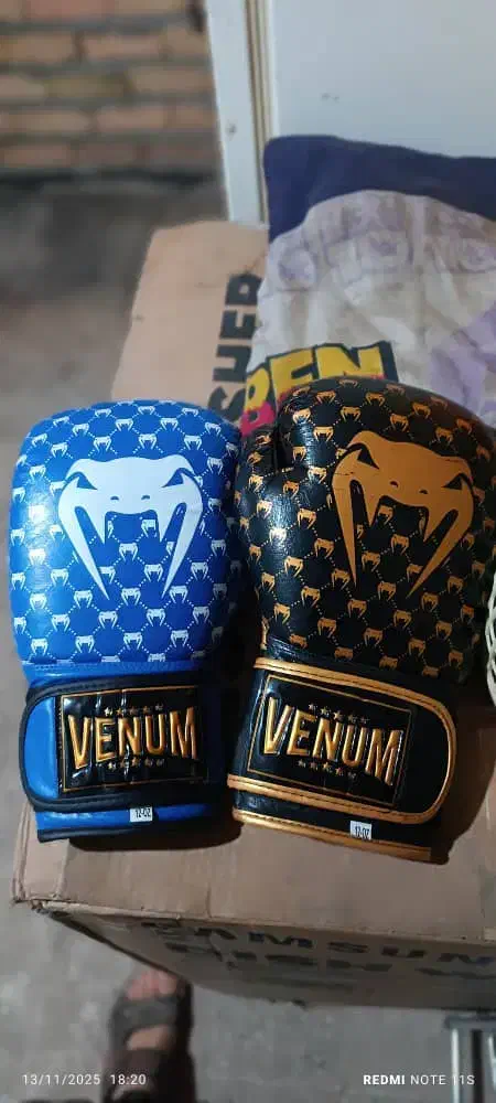 دستکش بوکس|تجهیزات ورزشی|بروجرد, |دیوار