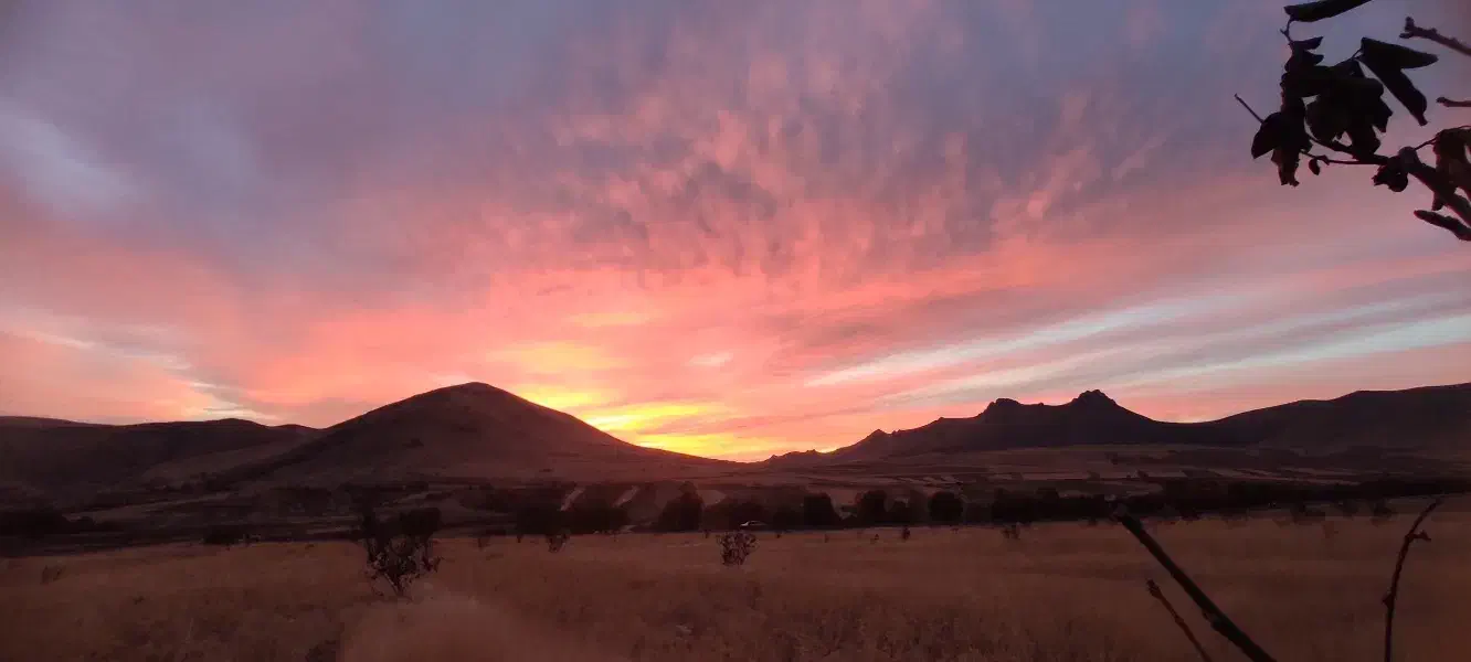 کاه دیم|حیوانات مزرعه|دینور, |دیوار