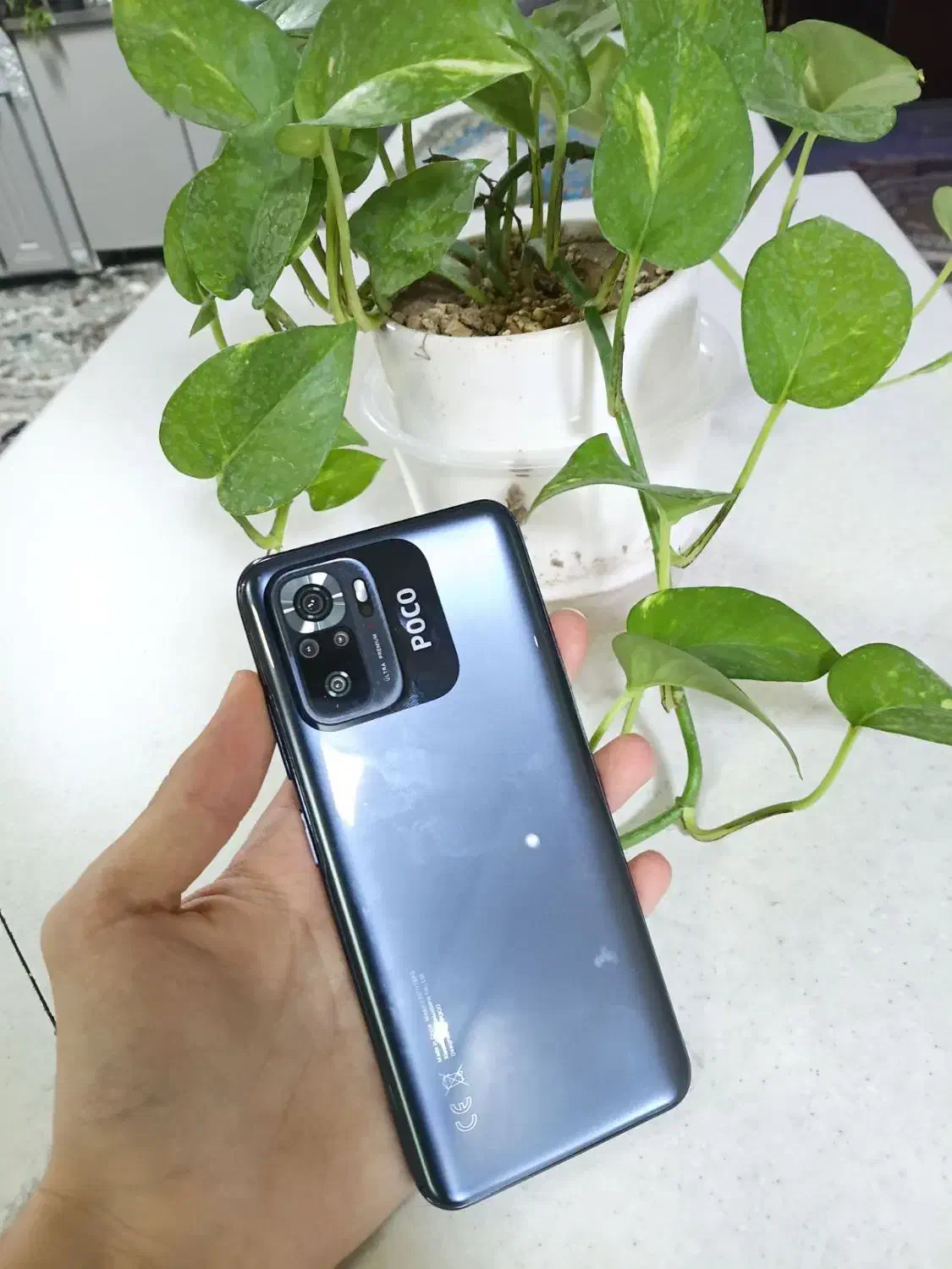 گوشی poco m5s|موبایل|محمدشهر, همایون ویلا|دیوار