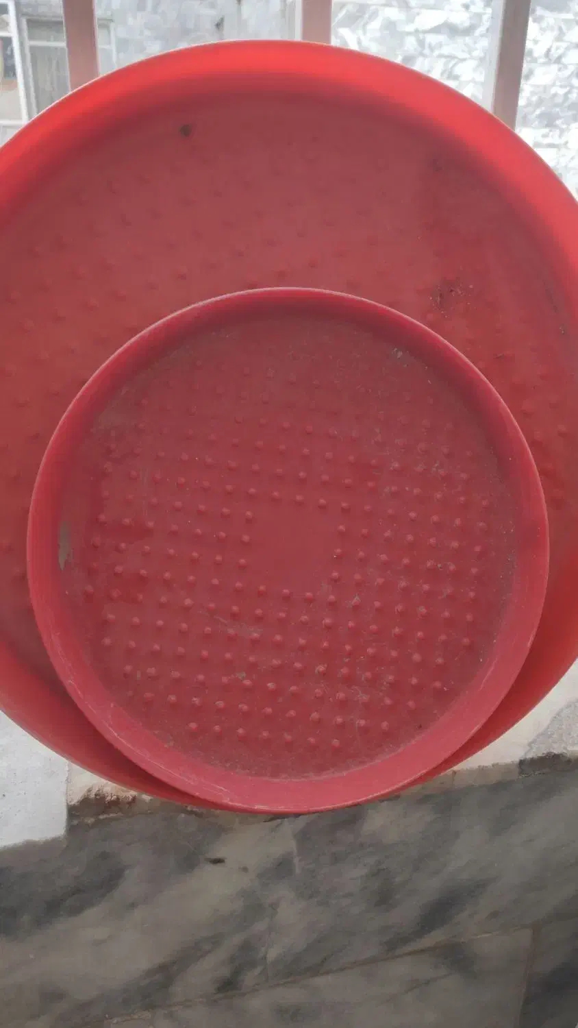 غذاخوری مرغ و پرنده|لوازم جانبی حیوانات|مشهد, مشکینی (شهرک غرب)|دیوار