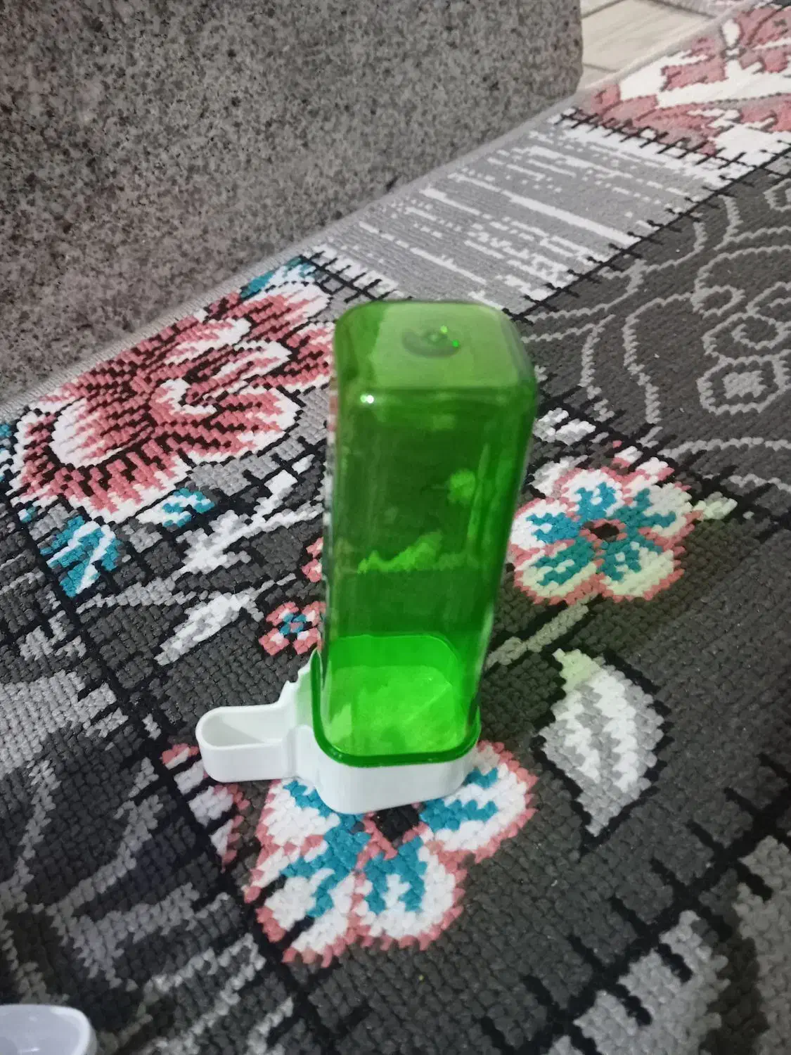 جا آبی پرندگان|لوازم جانبی حیوانات|رشت, سلیمانداراب|دیوار