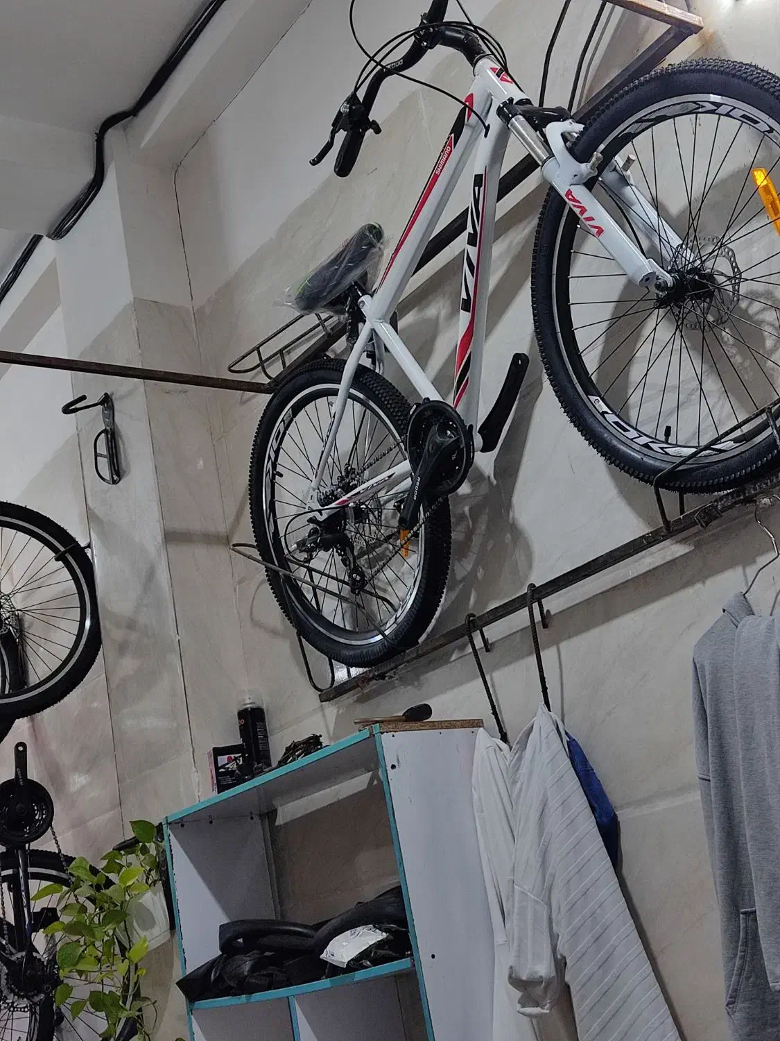 دوچرخه فروشگاه عزیززاده|دوچرخه، اسکیت، اسکوتر|بابل, |دیوار