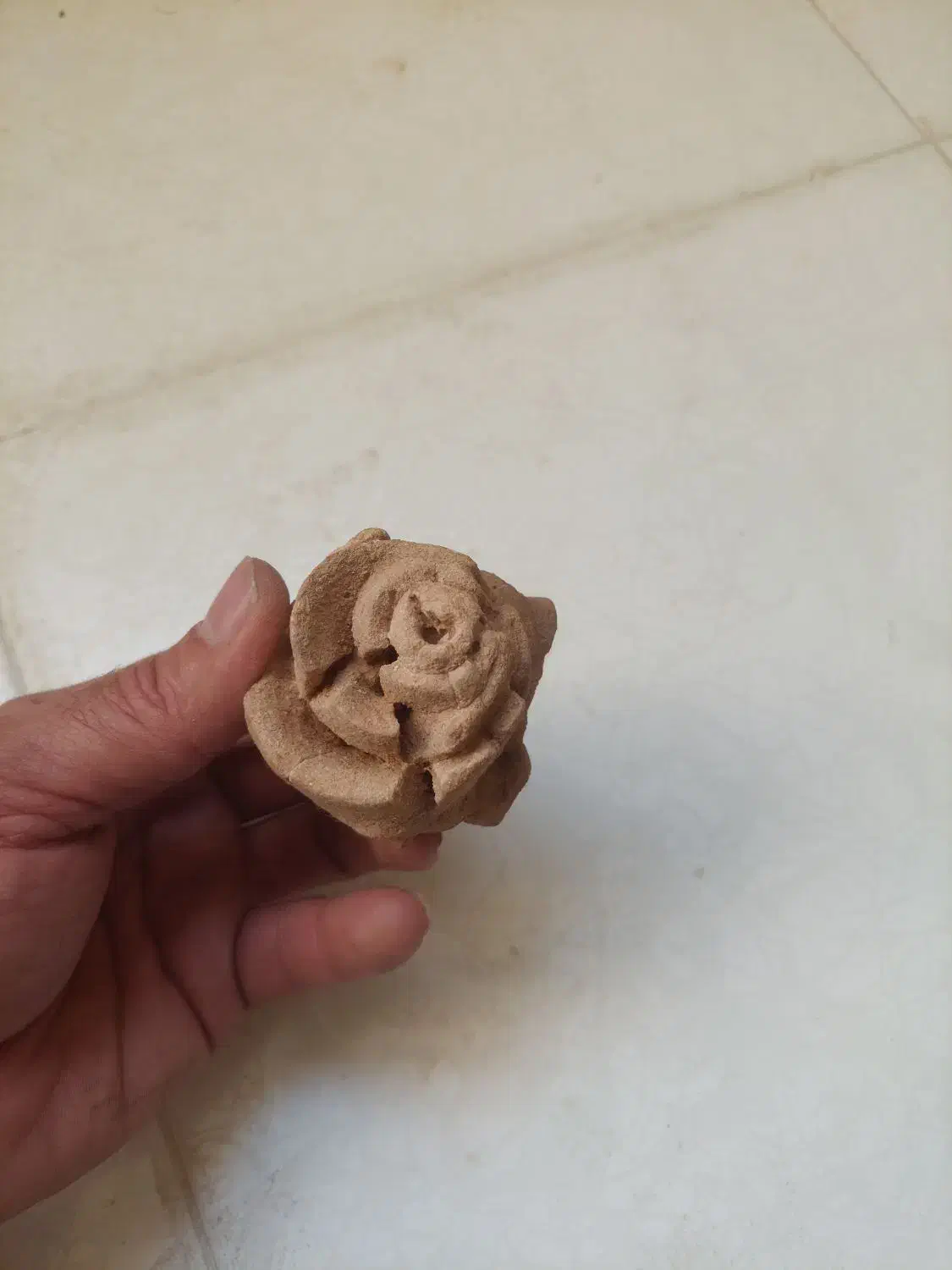 فسیل|کلکسیون اشیاء عتیقه|صدرا-فارس, فاز ۱|دیوار