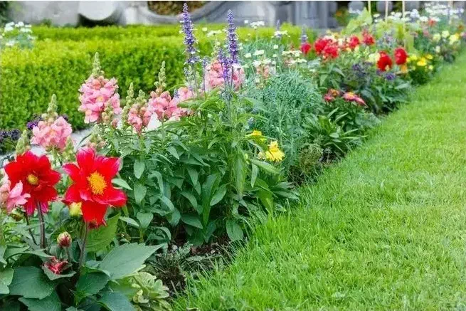 باغبانی حرفه ای|خدمات باغبانی و درختکاری|اهواز, بهارستان|دیوار