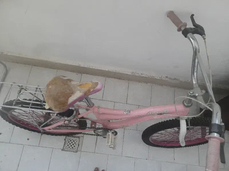 دوچرخه|دوچرخه، اسکیت، اسکوتر|فولادشهر, B7|دیوار