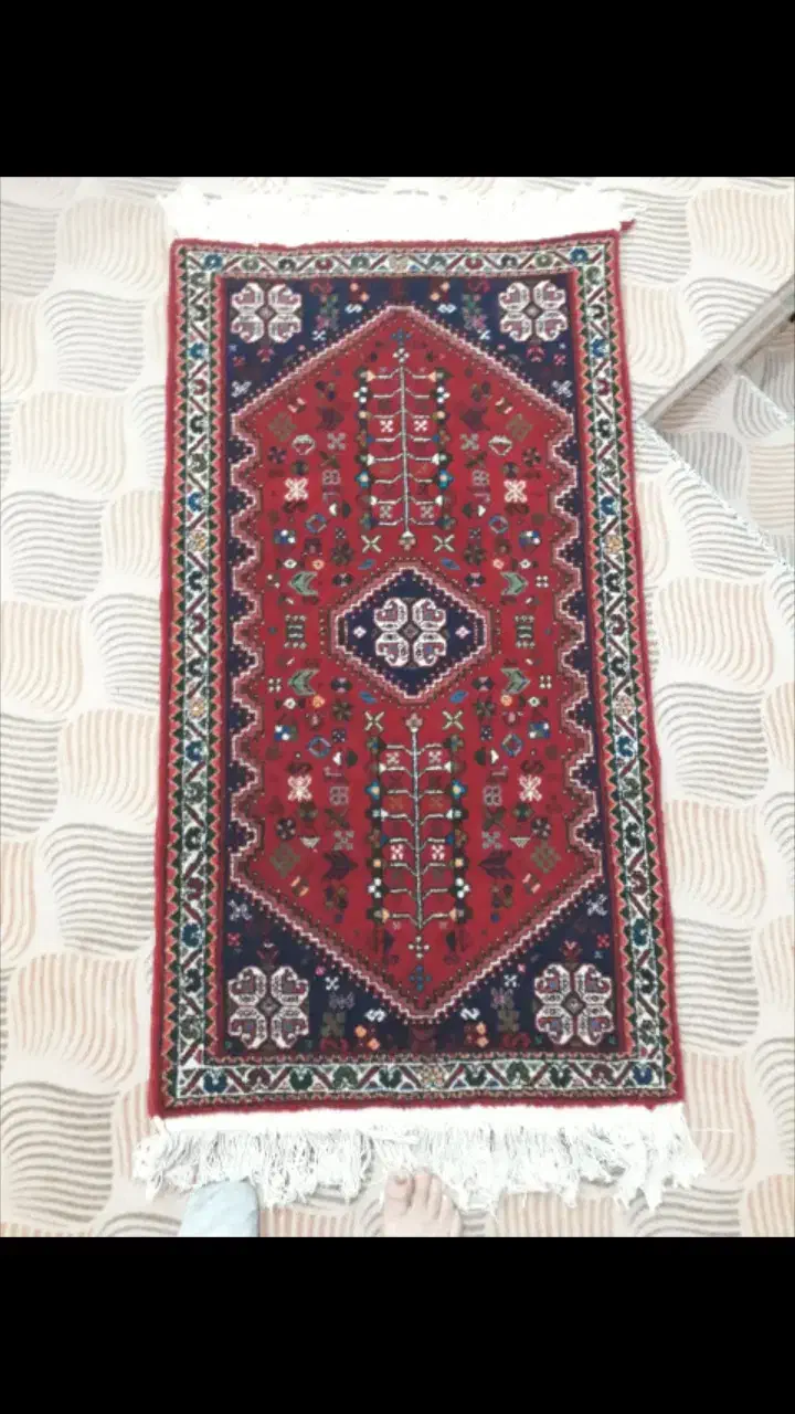 قالی دست باف|فرش|اقلید, |دیوار