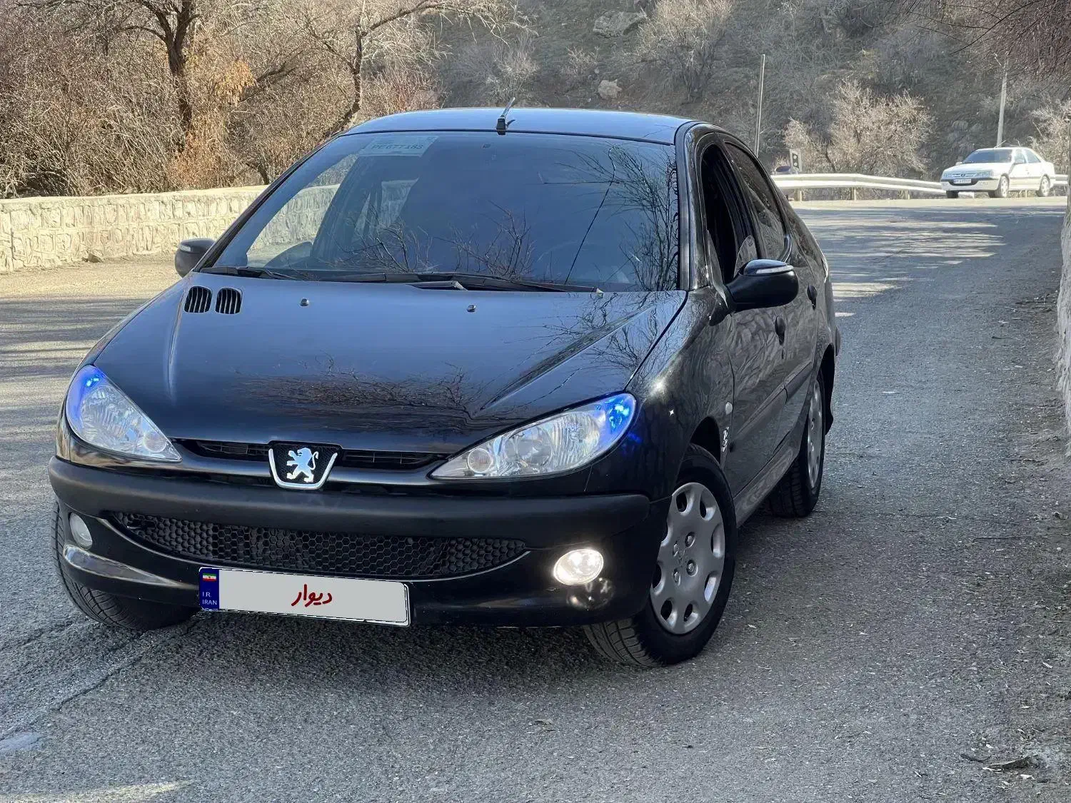 206 SD V8 سالم|خودرو سواری و وانت|سنندج, |دیوار