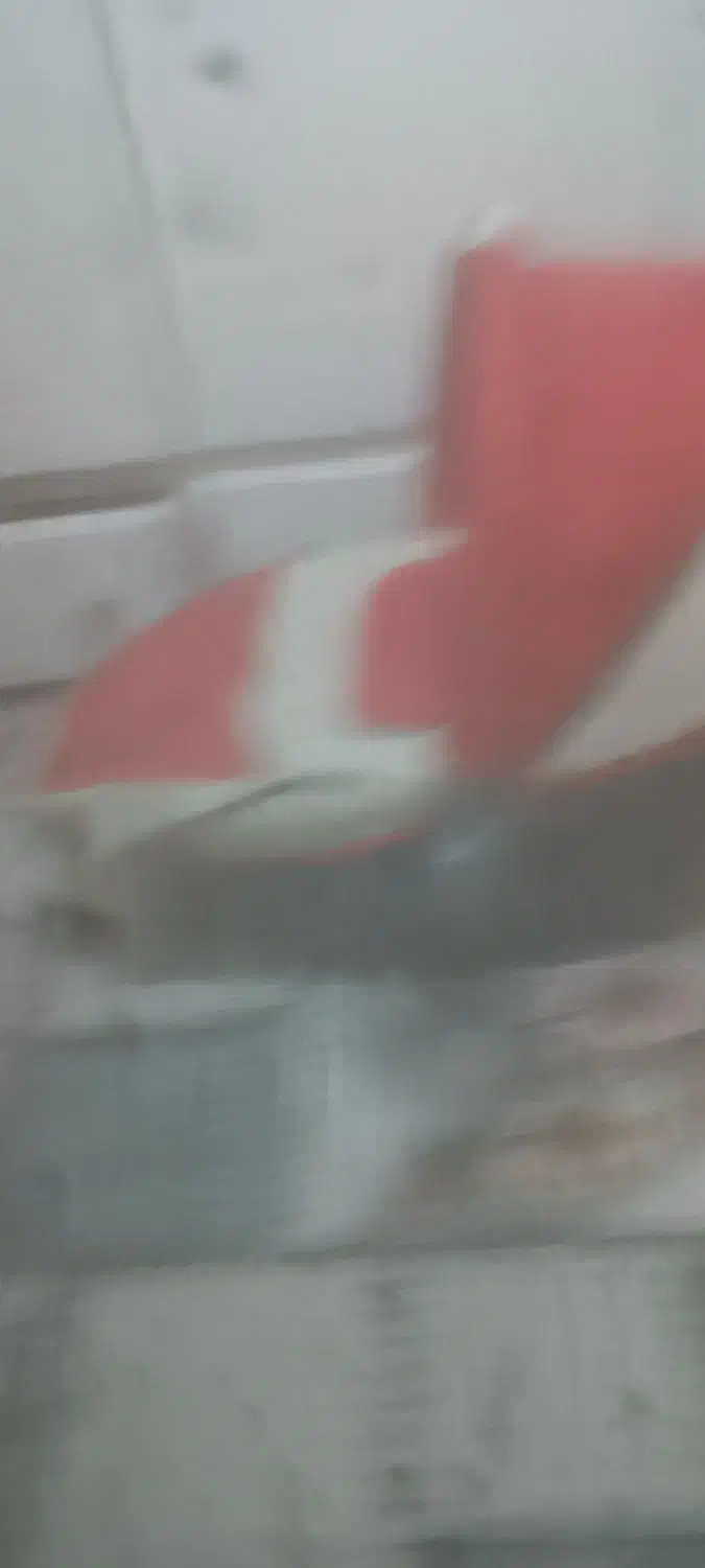 کریر نوزاد رایگان|کالسکه و لوازم جانبی|بندر انزلی, آخرخط|دیوار