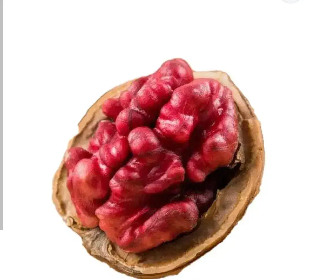 گردو لیورمور|خدمات باغبانی و درختکاری|قره ضیاالدین, |دیوار