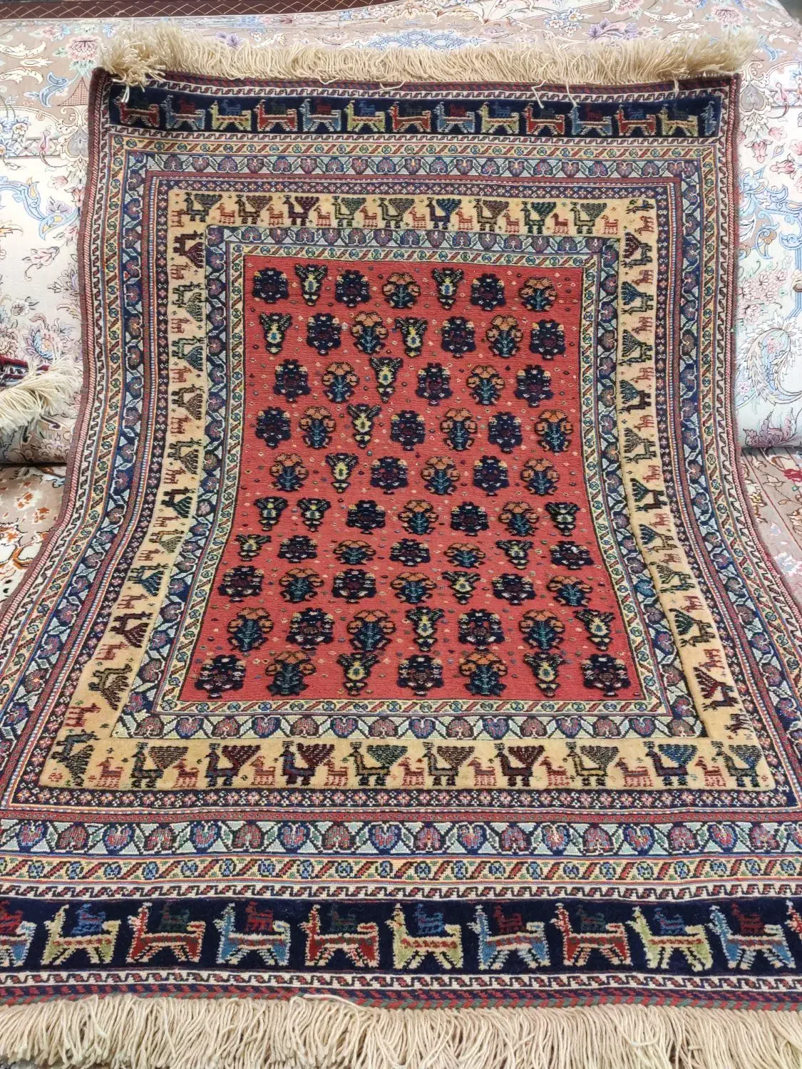 گلیم فرش و گلیم سوزنی سیرجان|فرش|تهران, فرمانیه|دیوار