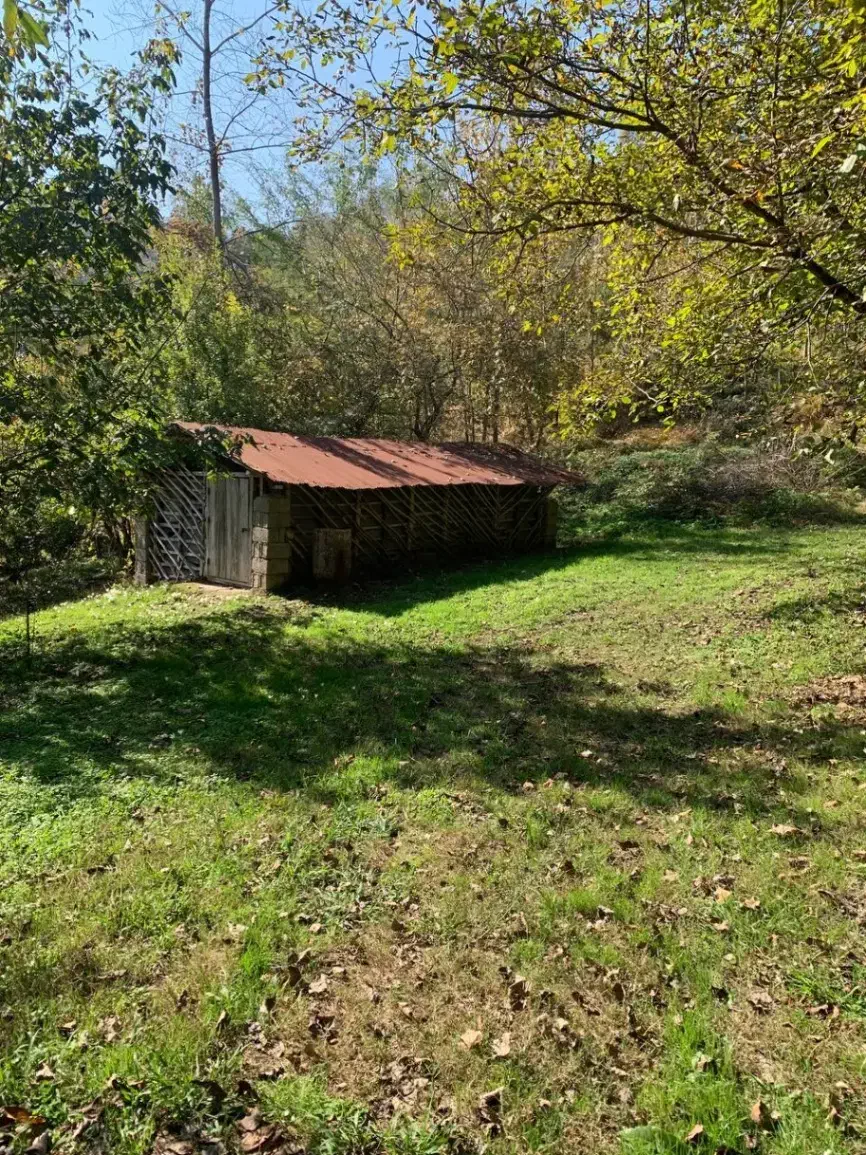 فرصت استثنایی خریدزمین۱۰۰۰۰متری بازیرساخت کامل|فروش زمین و ملک کلنگی|اطاقور, |دیوار