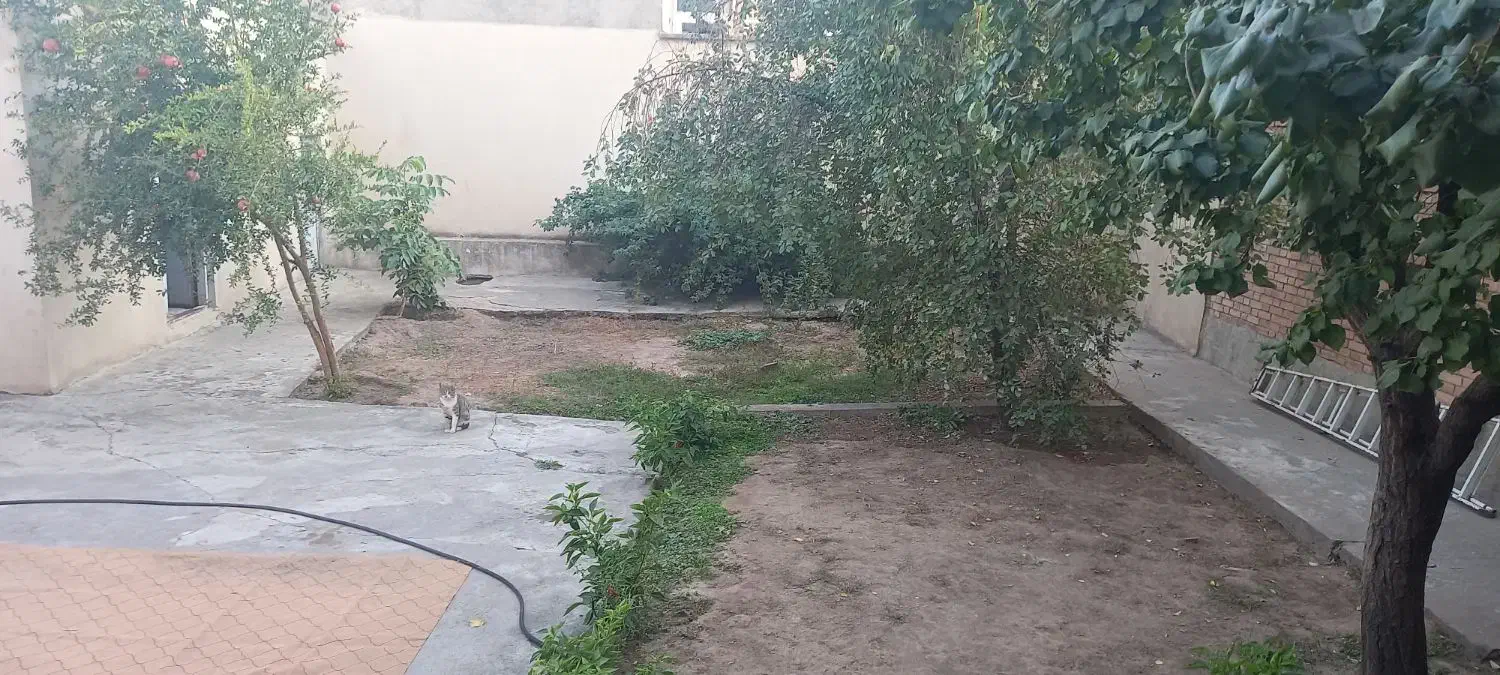 اجاره ساختمان در شاهیندژ خیابان مطهری کوچه۱۴|اجارهٔ خانه و ویلا|شاهین دژ, |دیوار