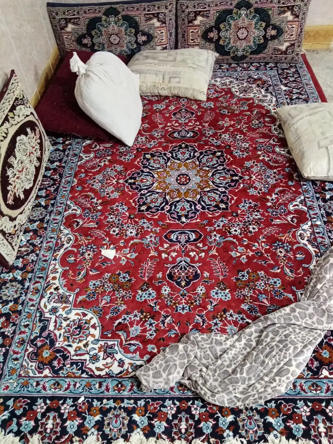 قالی|فرش|تربت جام, معدآباد|دیوار