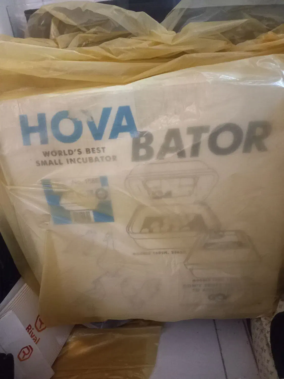 دستگاه جوجه کشی ۴۲|لوازم جانبی حیوانات|تهران, قصر فیروزه ۱|دیوار