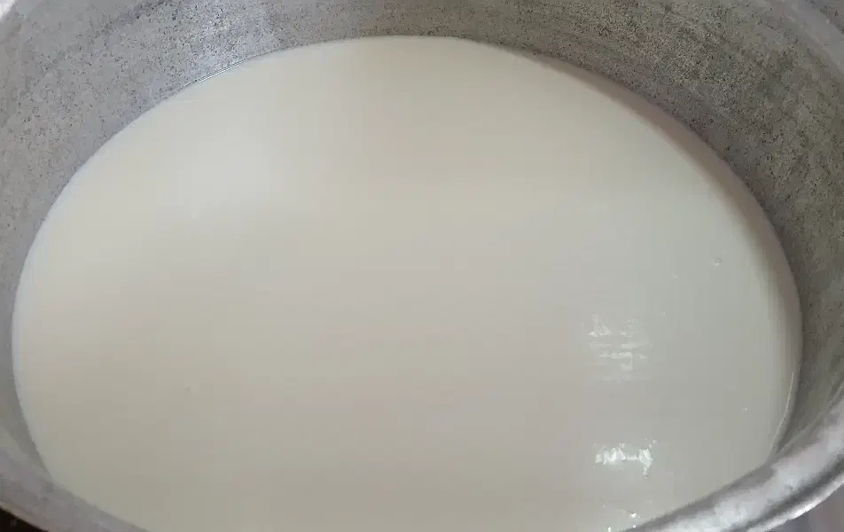 شیر|خوردنی و آشامیدنی|حمیل, |دیوار