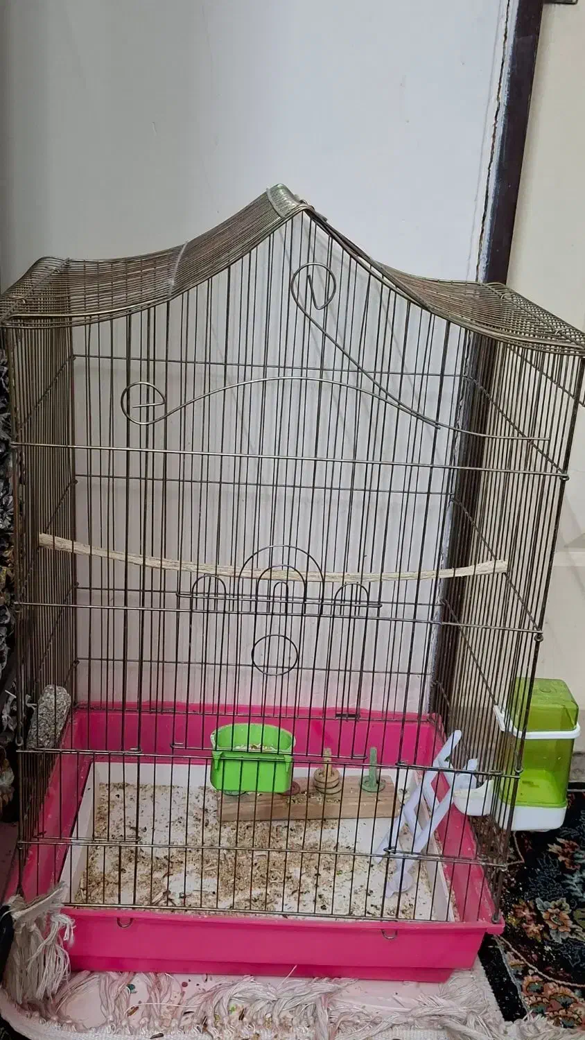 قفس بزرگ عروس هلندی|لوازم جانبی حیوانات|تهران, بیسیم|دیوار