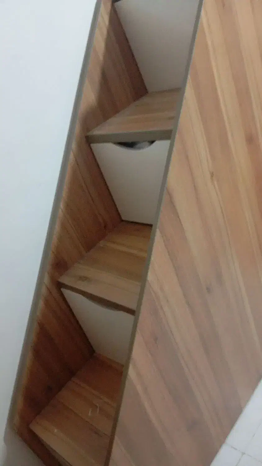 کشتی پله جادار|کتابخانه، شلف، قفسههای دیواری|اهواز, شهرک دانشگاه|دیوار