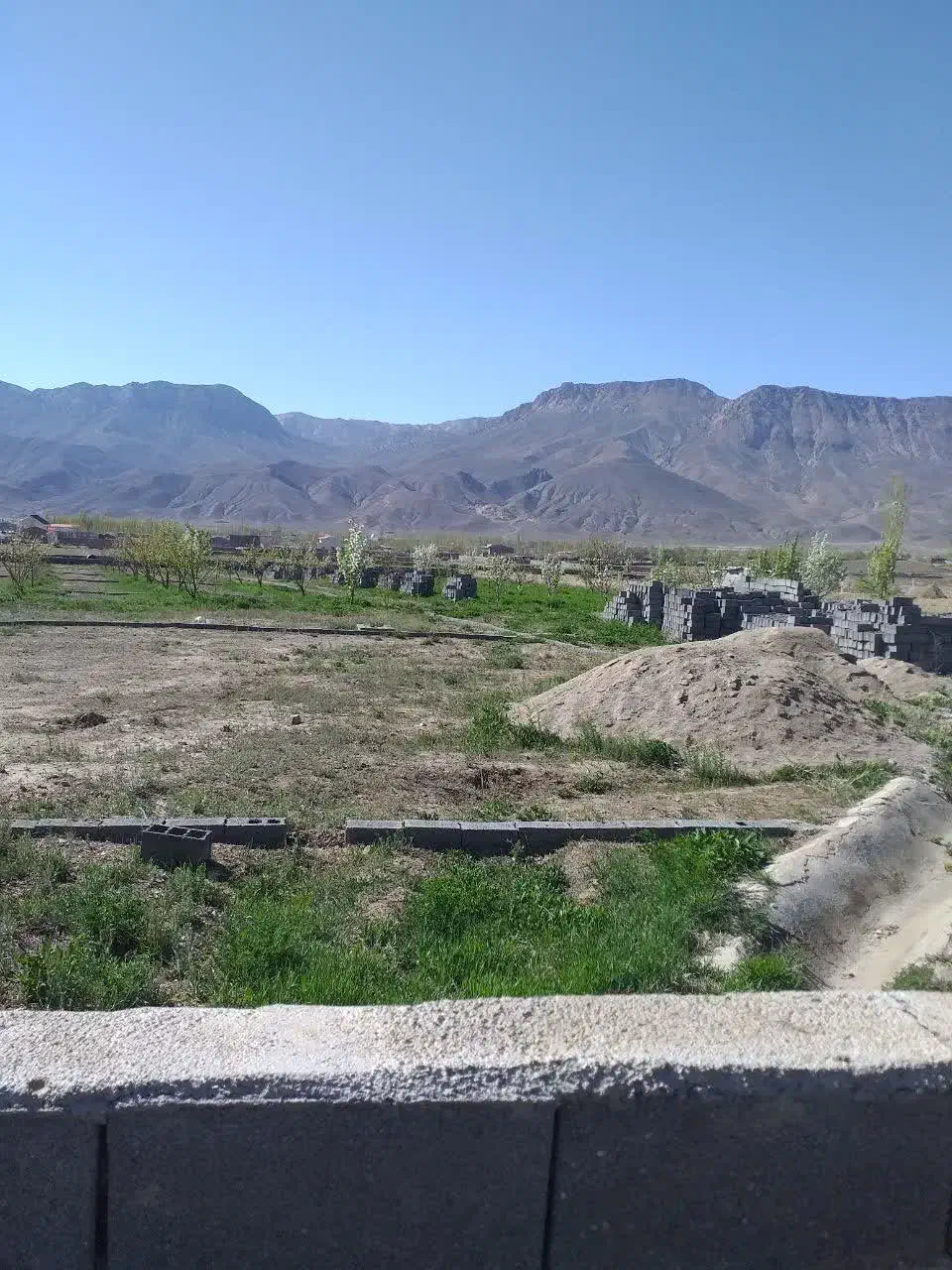 فروش زمین باغی|فروش زمین و ملک کلنگی|شهمیرزاد, |دیوار