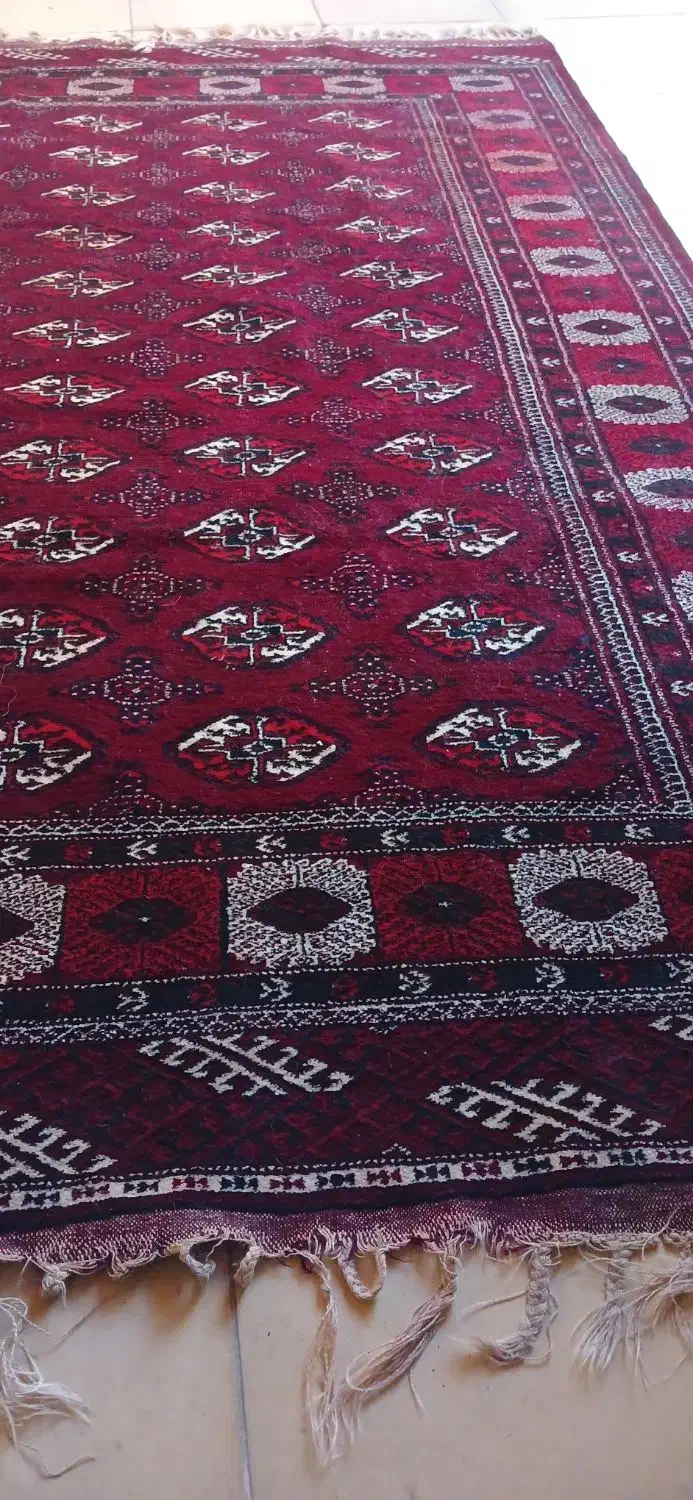 فروش فرش دستباف|فرش|گنبد کاووس, |دیوار