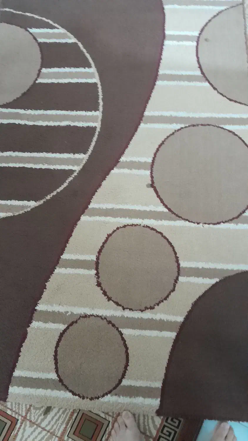 قالیچه|فرش|بندر انزلی, جهانگانی|دیوار