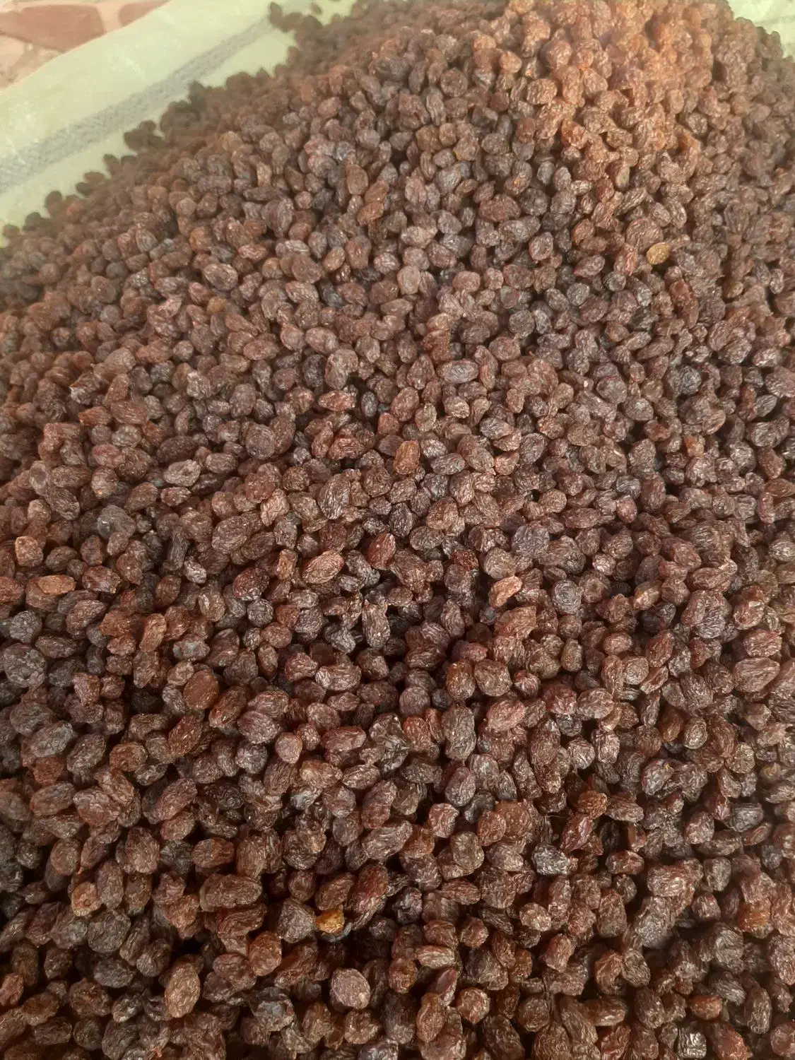 کشمش|خوردنی و آشامیدنی|ملکان, |دیوار