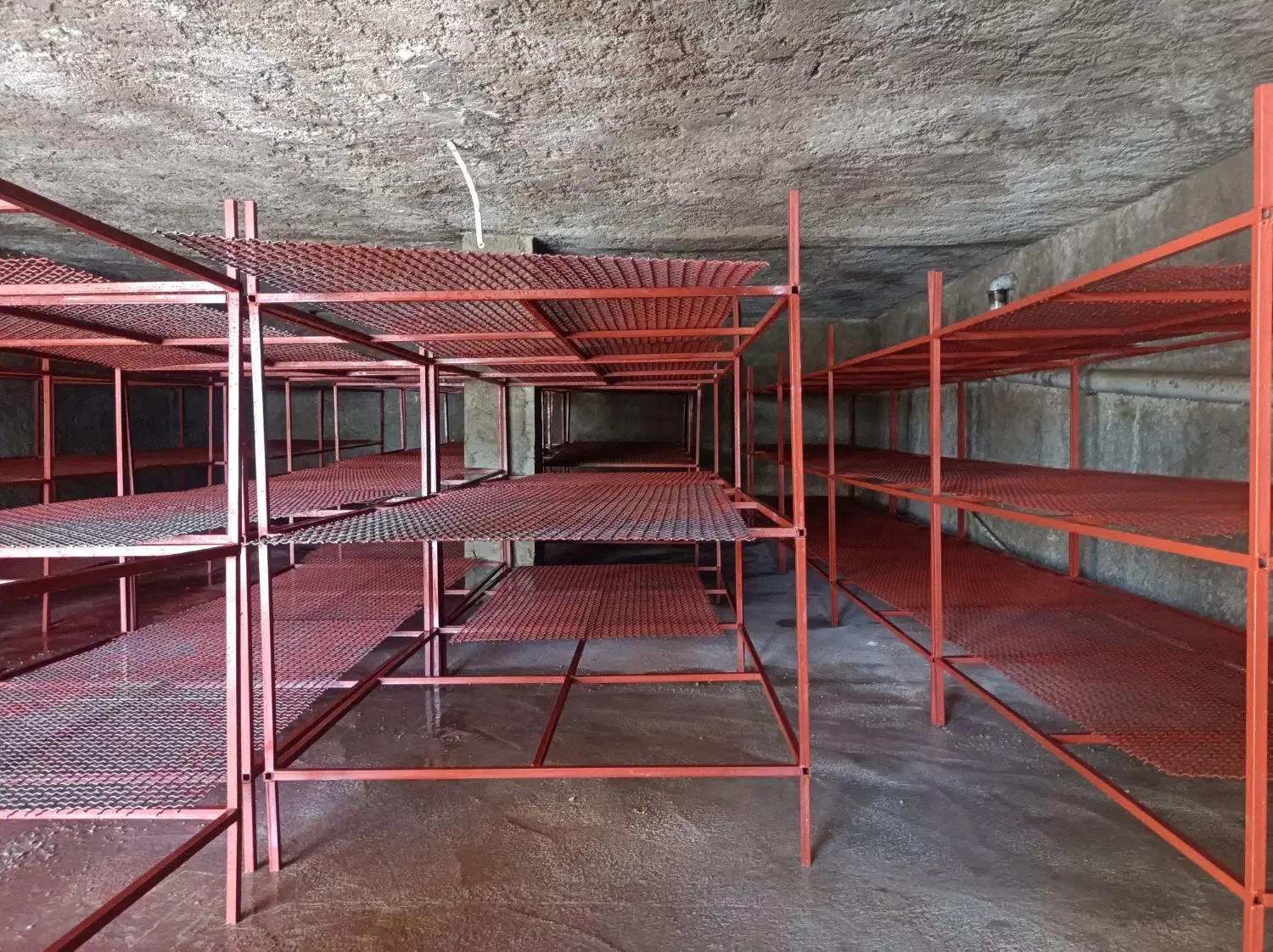 وسایل پرورش قارچ صفر تا صد|فروشگاه و مغازه|سپیدان, |دیوار