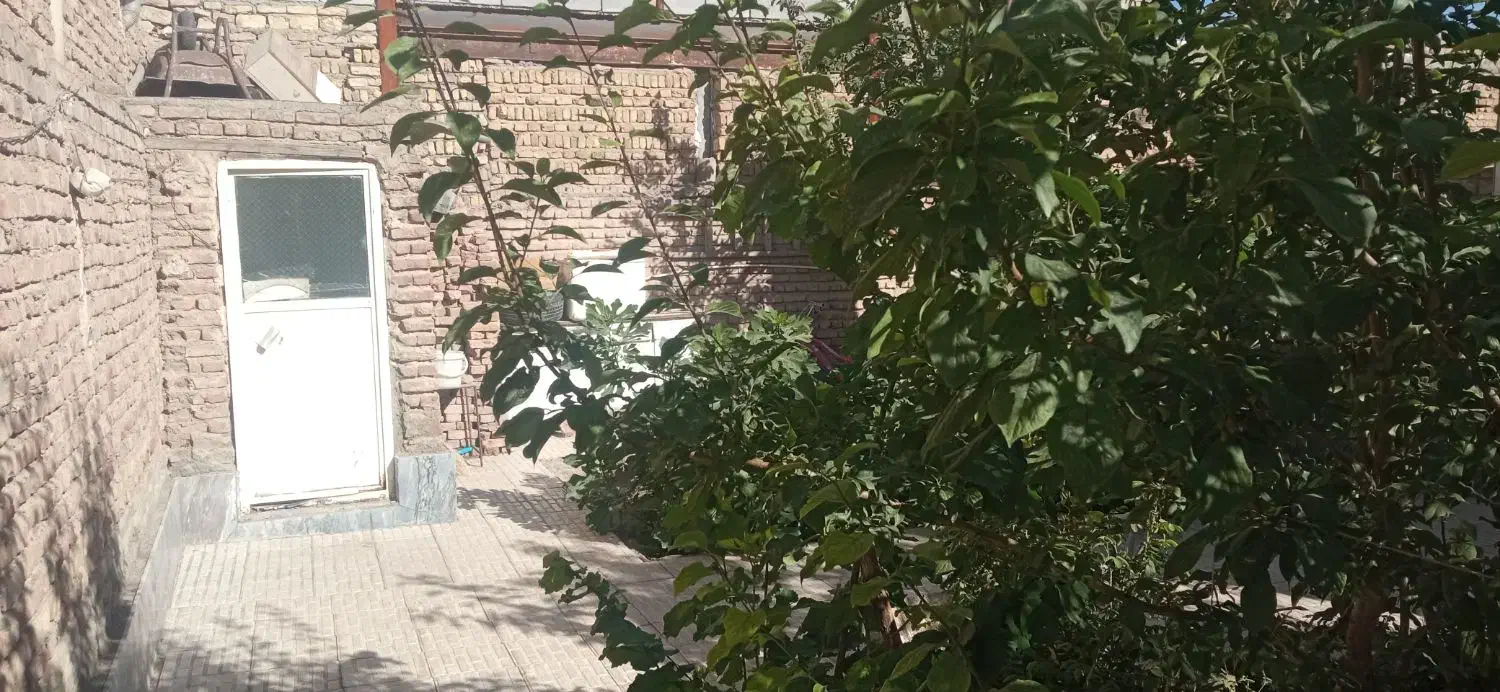 تصویر 8