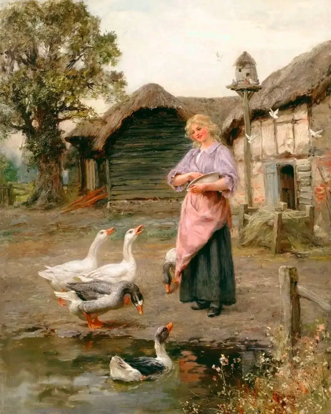 مرغ و خروس محلی|حیوانات مزرعه|کیش, |دیوار