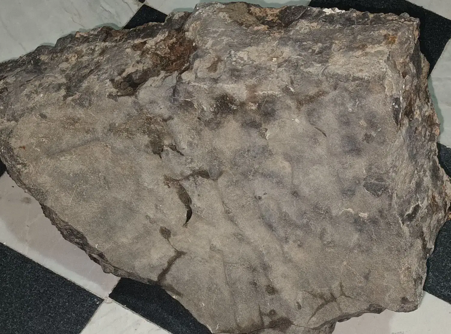 شهاب سنگ|کلکسیون اشیاء عتیقه|ساوه, |دیوار