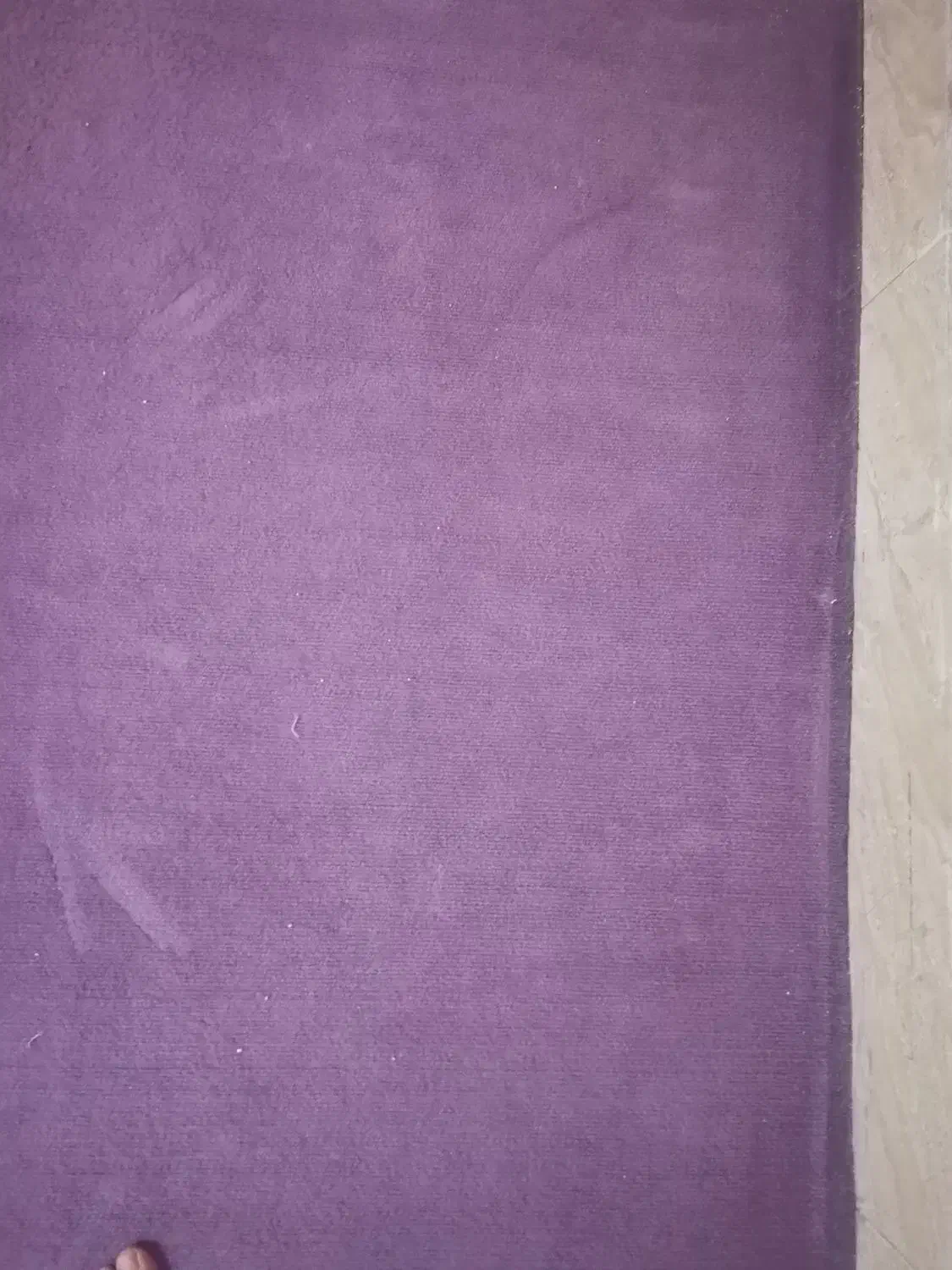 موکت|موکت|سنندج, |دیوار