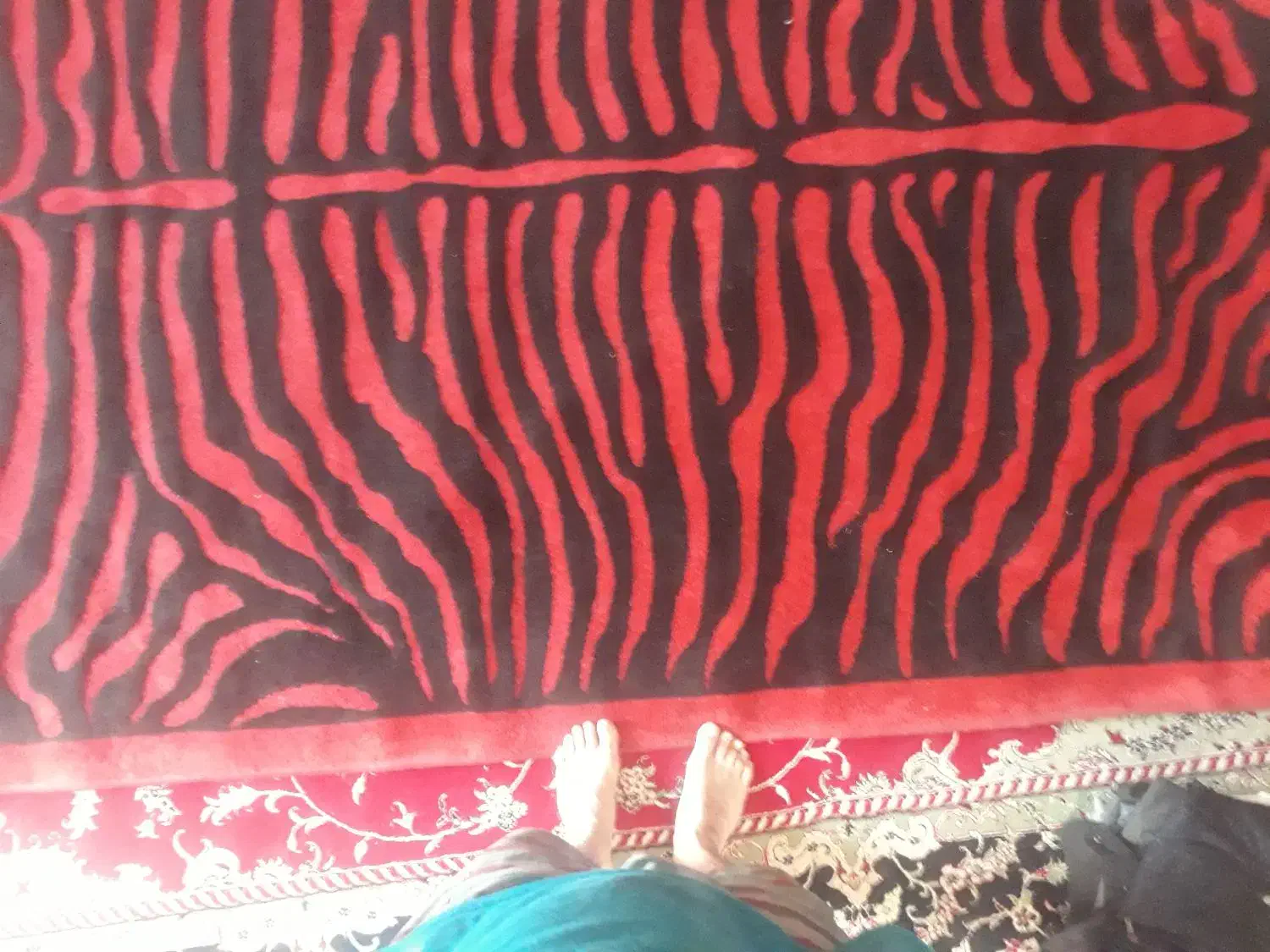 فرش ۶متری در حد نو مارک ساوین|فرش|گمیشان, |دیوار