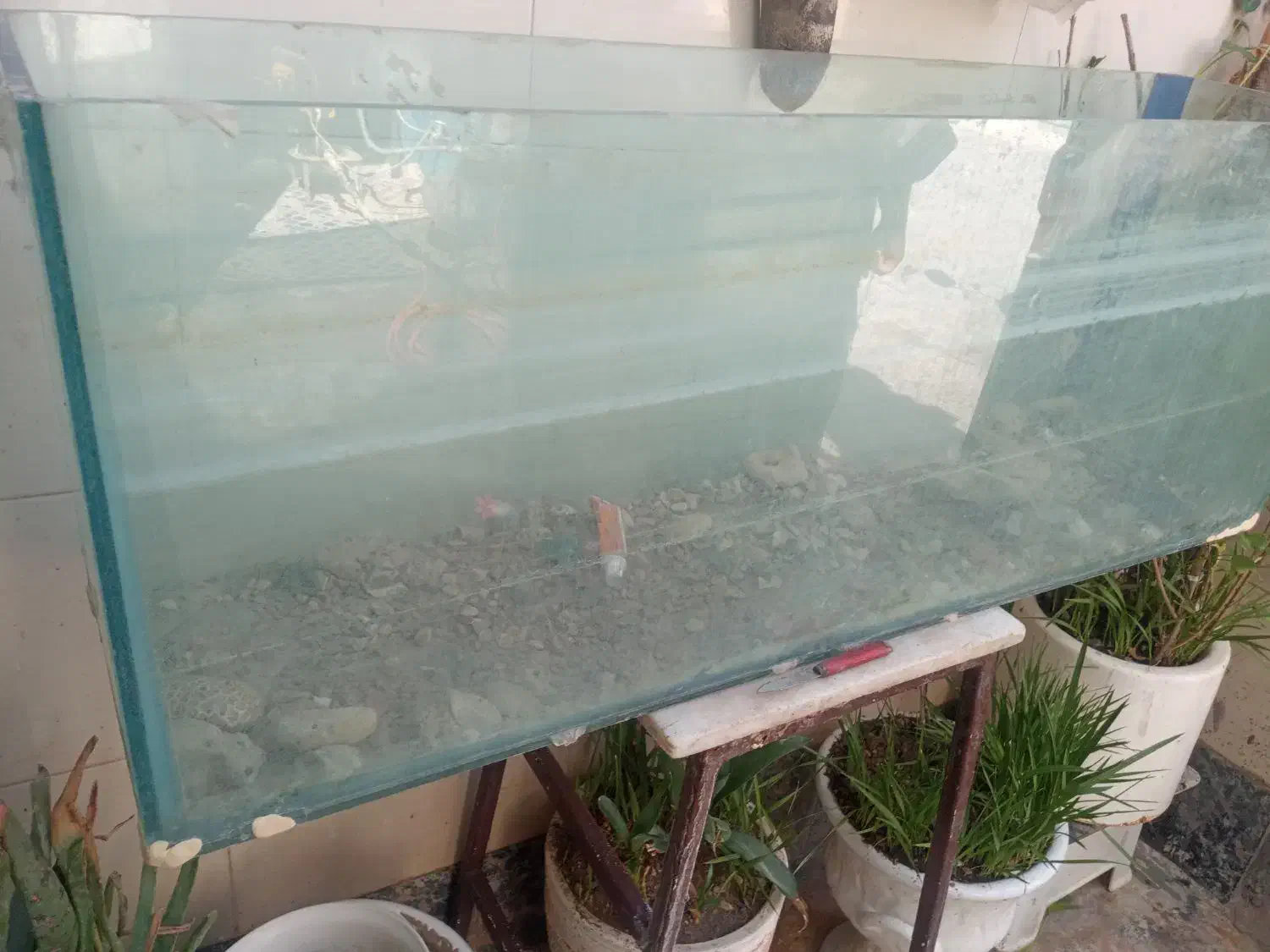 وسایل منزل|فرش|آبادان, |دیوار