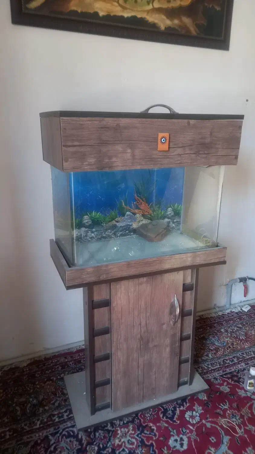 آکواریوم شیشه خم|ماهی|اسلام‌شهر, شهرک امام حسین (میان آباد)|دیوار