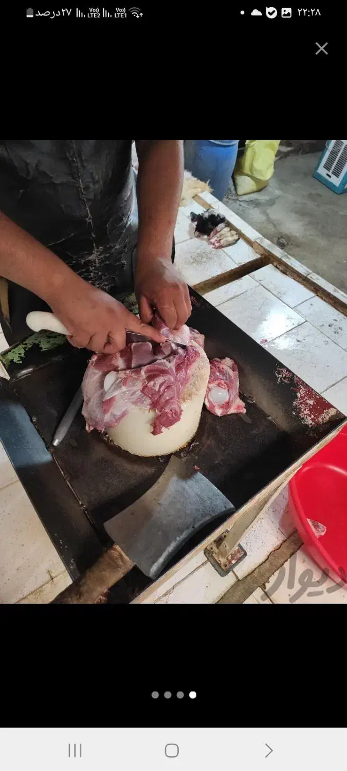 گوشت گوسفندی  کشتار روز|خوردنی و آشامیدنی|شیروان (خراسان), |دیوار