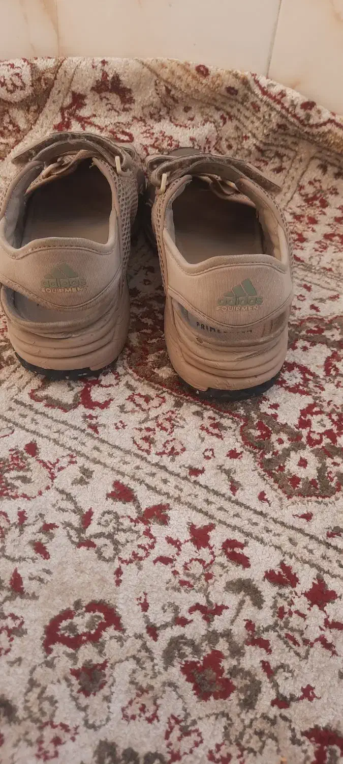 کتونی zx اکو صندل|کیف، کفش، کمربند|قرچک, مهدیه|دیوار