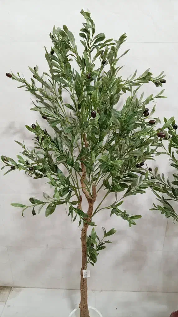 گل و درختچه مصنوعی|گل و گیاه طبیعی|بندر کنگان, |دیوار