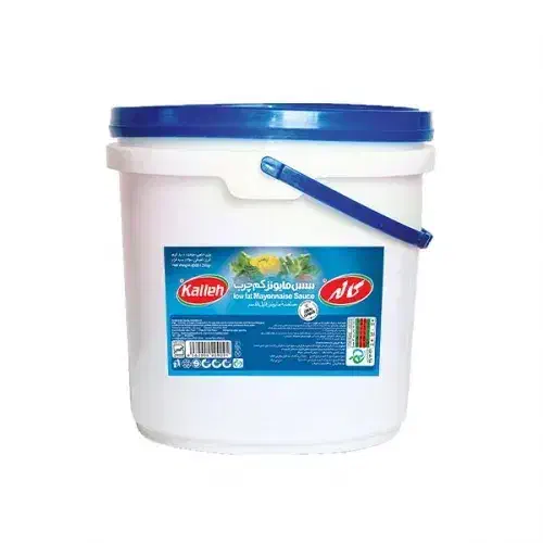 دبه و سطل|ظروف نگهدارنده، پلاستیکی، یک‌بارمصرف|زنجان, |دیوار