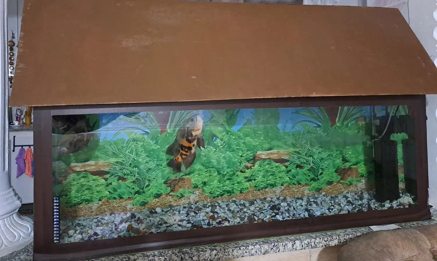 آکواریوم شیشه ۱۰میل|ماهی|مسجد سلیمان, |دیوار